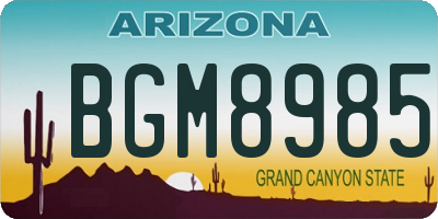 AZ license plate BGM8985