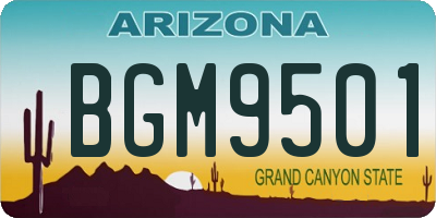 AZ license plate BGM9501