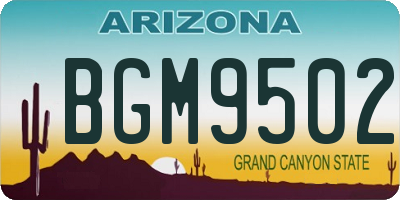AZ license plate BGM9502