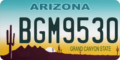 AZ license plate BGM9530