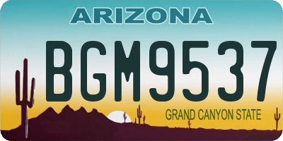 AZ license plate BGM9537
