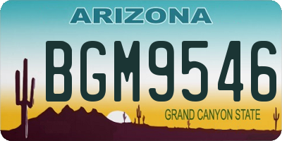 AZ license plate BGM9546