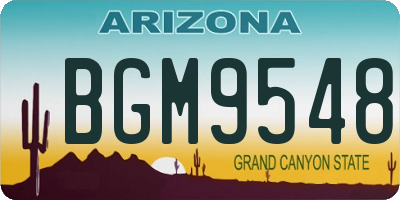 AZ license plate BGM9548