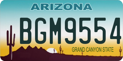 AZ license plate BGM9554