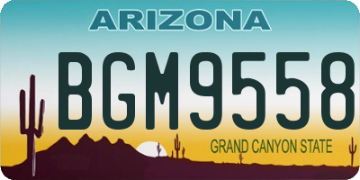 AZ license plate BGM9558
