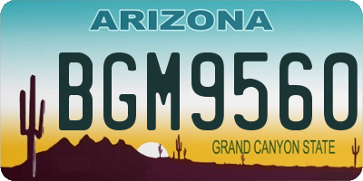 AZ license plate BGM9560