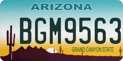 AZ license plate BGM9563
