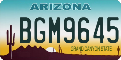 AZ license plate BGM9645