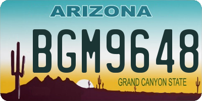 AZ license plate BGM9648