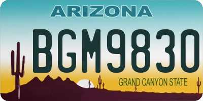 AZ license plate BGM9830