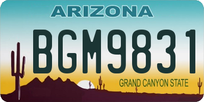AZ license plate BGM9831