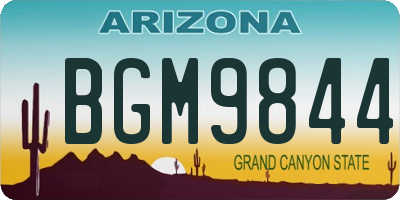 AZ license plate BGM9844