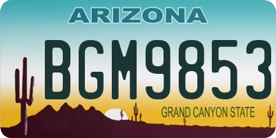 AZ license plate BGM9853