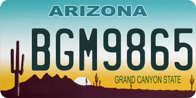 AZ license plate BGM9865