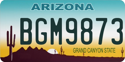 AZ license plate BGM9873