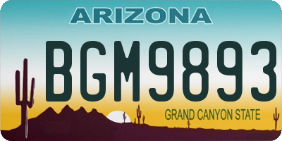 AZ license plate BGM9893