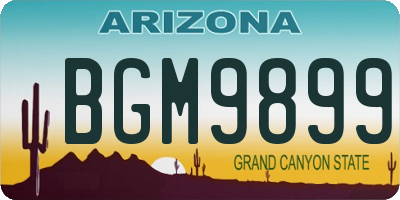 AZ license plate BGM9899