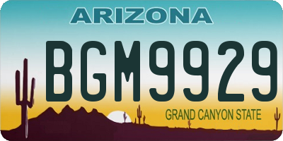 AZ license plate BGM9929