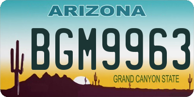 AZ license plate BGM9963