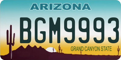 AZ license plate BGM9993