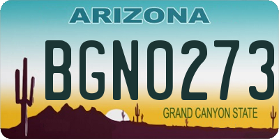 AZ license plate BGN0273