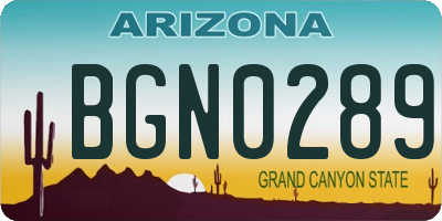 AZ license plate BGN0289