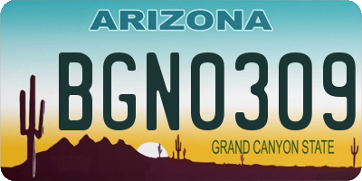 AZ license plate BGN0309