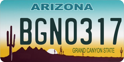 AZ license plate BGN0317