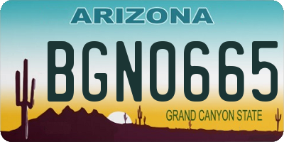 AZ license plate BGN0665