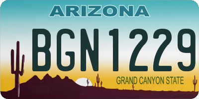 AZ license plate BGN1229