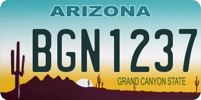 AZ license plate BGN1237