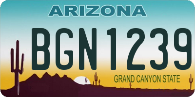 AZ license plate BGN1239