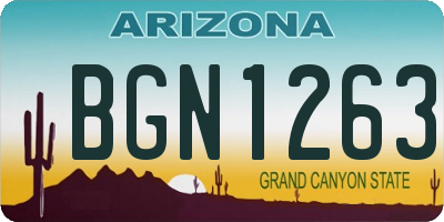 AZ license plate BGN1263