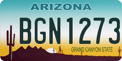 AZ license plate BGN1273