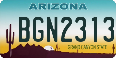 AZ license plate BGN2313