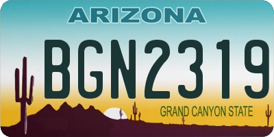 AZ license plate BGN2319