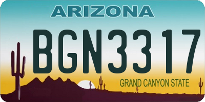 AZ license plate BGN3317