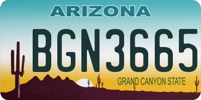 AZ license plate BGN3665
