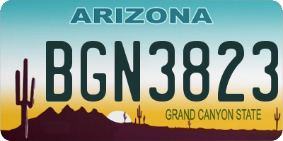 AZ license plate BGN3823