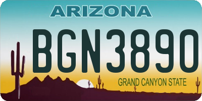 AZ license plate BGN3890
