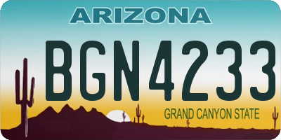AZ license plate BGN4233