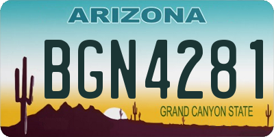 AZ license plate BGN4281
