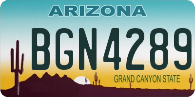 AZ license plate BGN4289