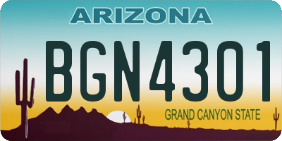 AZ license plate BGN4301