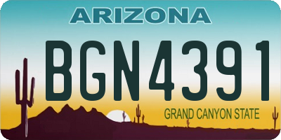 AZ license plate BGN4391