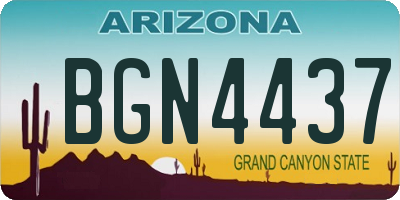 AZ license plate BGN4437