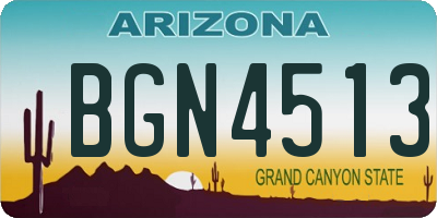 AZ license plate BGN4513
