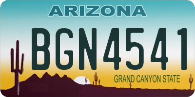 AZ license plate BGN4541
