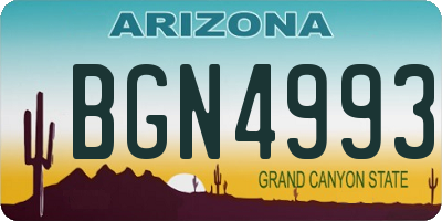 AZ license plate BGN4993