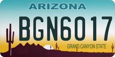 AZ license plate BGN6017